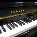 yamaha b1